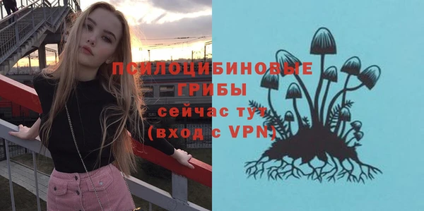 спайс Алексин
