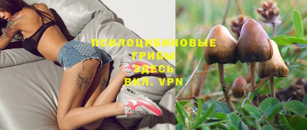 спайс Алзамай