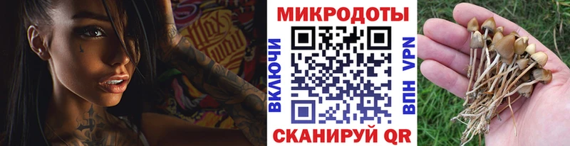 Псилоцибиновые грибы мицелий  Цимлянск 